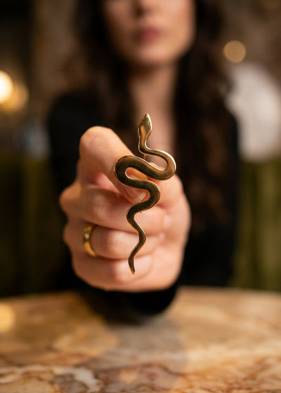 SNAKE-SHAPED BROOCH