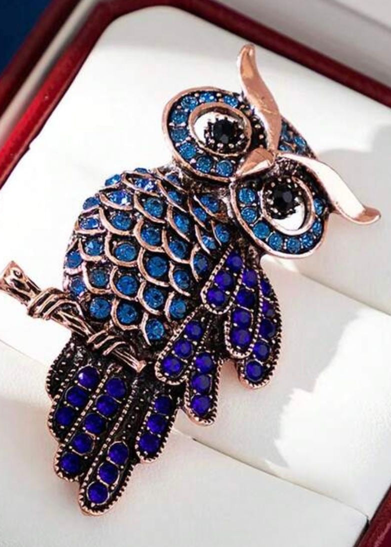 BLUE OWL BROOCH Main image
